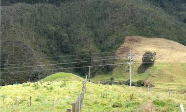 VENDO FINCA EN SAN JOSE DE LA MONTAÑA
