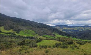VENDO FINCA EN SAN JOSE DE LA MONTAÑA