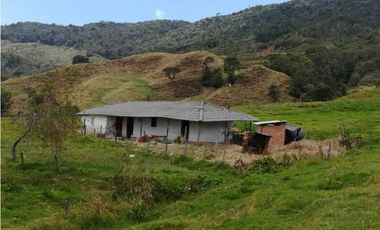 VENDO FINCA EN SAN JOSE DE LA MONTAÑA