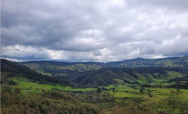 VENDO FINCA EN SAN JOSE DE LA MONTAÑA
