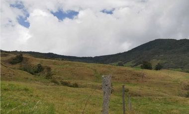 VENDO FINCA EN SAN JOSE DE LA MONTAÑA