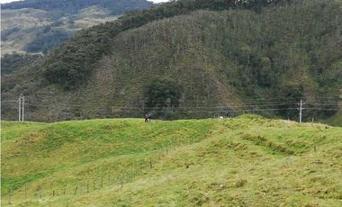 VENDO FINCA EN SAN JOSE DE LA MONTAÑA