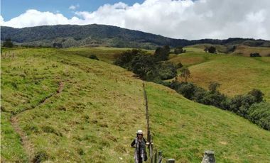 VENDO FINCA EN SAN JOSE DE LA MONTAÑA