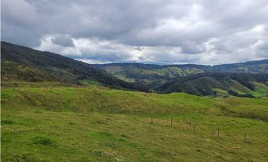 VENDO FINCA EN SAN JOSE DE LA MONTAÑA