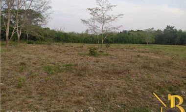 VENTA FINCA DE 1 HAS + 1.662 M2 VEREDA TACARIMENA-YOPAL
