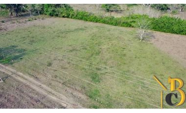 VENTA FINCA DE 1 HAS + 1.662 M2 VEREDA TACARIMENA-YOPAL