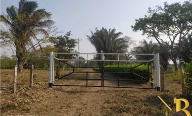 VENTA FINCA DE 1 HAS + 1.662 M2 VEREDA TACARIMENA-YOPAL
