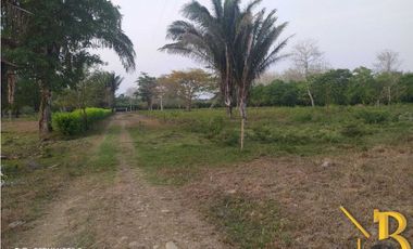 VENTA FINCA DE 1 HAS + 1.662 M2 VEREDA TACARIMENA-YOPAL