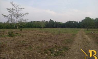 VENTA FINCA DE 1 HAS + 1.662 M2 VEREDA TACARIMENA-YOPAL