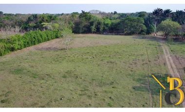 VENTA FINCA DE 1 HAS + 1.662 M2 VEREDA TACARIMENA-YOPAL
