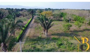 VENTA FINCA DE 1 HAS + 1.662 M2 VEREDA TACARIMENA-YOPAL