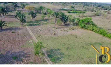VENTA FINCA DE 1 HAS + 1.662 M2 VEREDA TACARIMENA-YOPAL