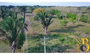 VENTA FINCA DE 1 HAS + 1.662 M2 VEREDA TACARIMENA-YOPAL