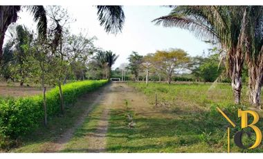 VENTA FINCA DE 1 HAS + 1.662 M2 VEREDA TACARIMENA-YOPAL