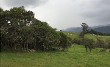VENDO LOTE VEREDA SAN JOSE - LA CALERA -  URGEME