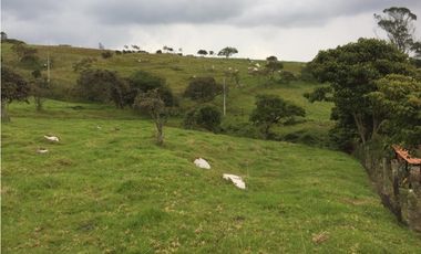VENDO LOTE VEREDA SAN JOSE - LA CALERA -  URGEME