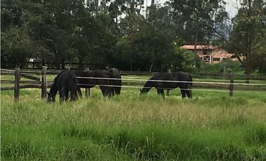 Venta Finca con casa y Caballeriza