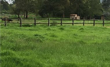 Venta Finca con casa y Caballeriza
