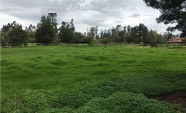 Venta Finca con casa y Caballeriza