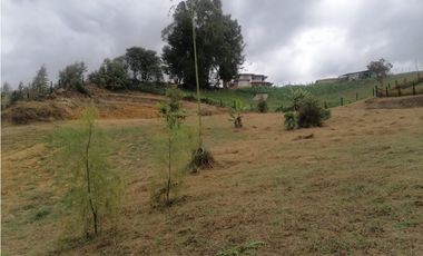 Venta de lote en El Carmen de Viboral, Antioquia