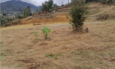 Venta de lote en El Carmen de Viboral, Antioquia