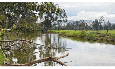 Venta finca con Casa y pesebreras