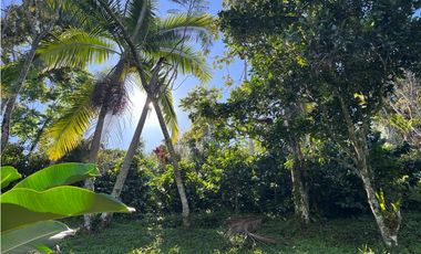 Vendo finca ecoturística en la Vega Cund