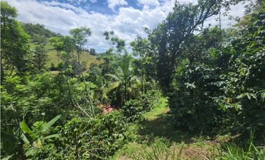 Vendo finca ecoturística en la Vega Cund