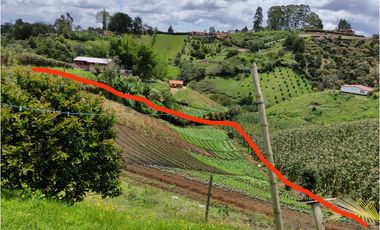 Venta de finca en Marinilla, Antioquia