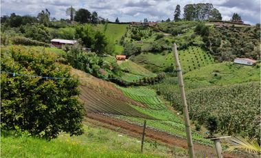 Venta de finca en Marinilla, Antioquia