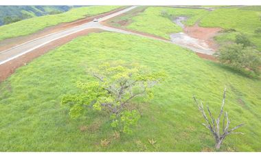 Lote Bolombolo (Suroeste Antioqueño)