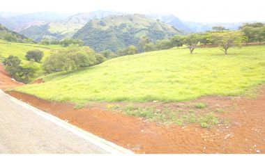 Lote Bolombolo (Suroeste Antioqueño)
