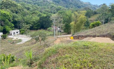 Venta de lote con abundante vegetación en Minca-Santa Marta