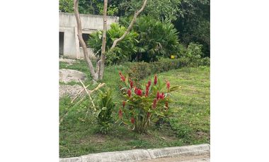 Venta de lote con abundante vegetación en Minca-Santa Marta