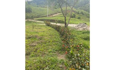 Venta de lote con abundante vegetación en Minca-Santa Marta