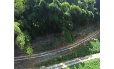 Venta de lote con abundante vegetación en Minca-Santa Marta
