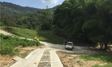 Venta de lote con abundante vegetación en Minca-Santa Marta