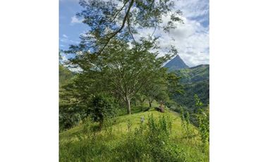 VENDO LOTE DE 22 CUADRAS EN EL SECTOR LA SIRIA ANTIOQUIA