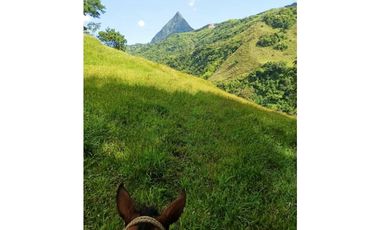 VENDO LOTE DE 22 CUADRAS EN EL SECTOR LA SIRIA ANTIOQUIA