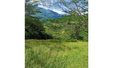 VENDO LOTE DE 22 CUADRAS EN EL SECTOR LA SIRIA ANTIOQUIA