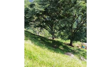 VENDO LOTE DE 22 CUADRAS EN EL SECTOR LA SIRIA ANTIOQUIA