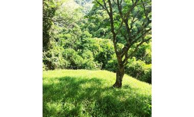 VENDO LOTE DE 22 CUADRAS EN EL SECTOR LA SIRIA ANTIOQUIA