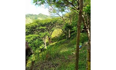 VENDO LOTE DE 22 CUADRAS EN EL SECTOR LA SIRIA ANTIOQUIA