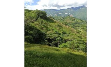 VENDO LOTE DE 22 CUADRAS EN EL SECTOR LA SIRIA ANTIOQUIA