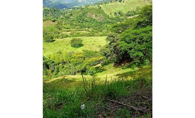 VENDO LOTE DE 22 CUADRAS EN EL SECTOR LA SIRIA ANTIOQUIA