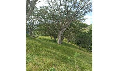VENDO LOTE DE 22 CUADRAS EN EL SECTOR LA SIRIA ANTIOQUIA