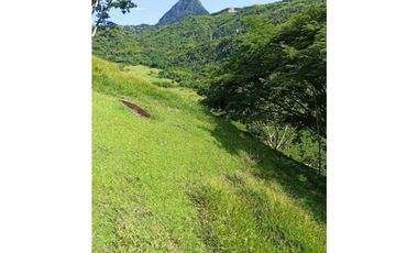 VENDO LOTE DE 22 CUADRAS EN EL SECTOR LA SIRIA ANTIOQUIA