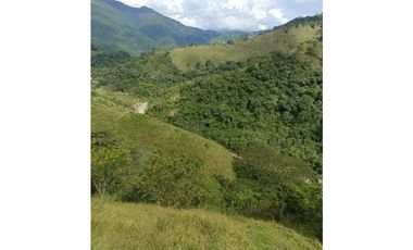 VENDO LOTE DE 22 CUADRAS EN EL SECTOR LA SIRIA ANTIOQUIA