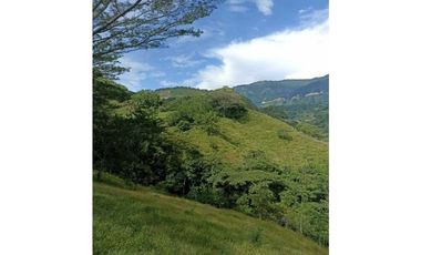 VENDO LOTE DE 22 CUADRAS EN EL SECTOR LA SIRIA ANTIOQUIA
