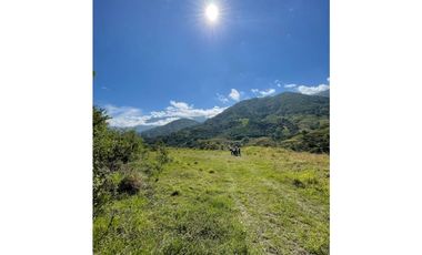 Tu hogar ideal en San Jerónimo: ¡Lotes exclusivos!